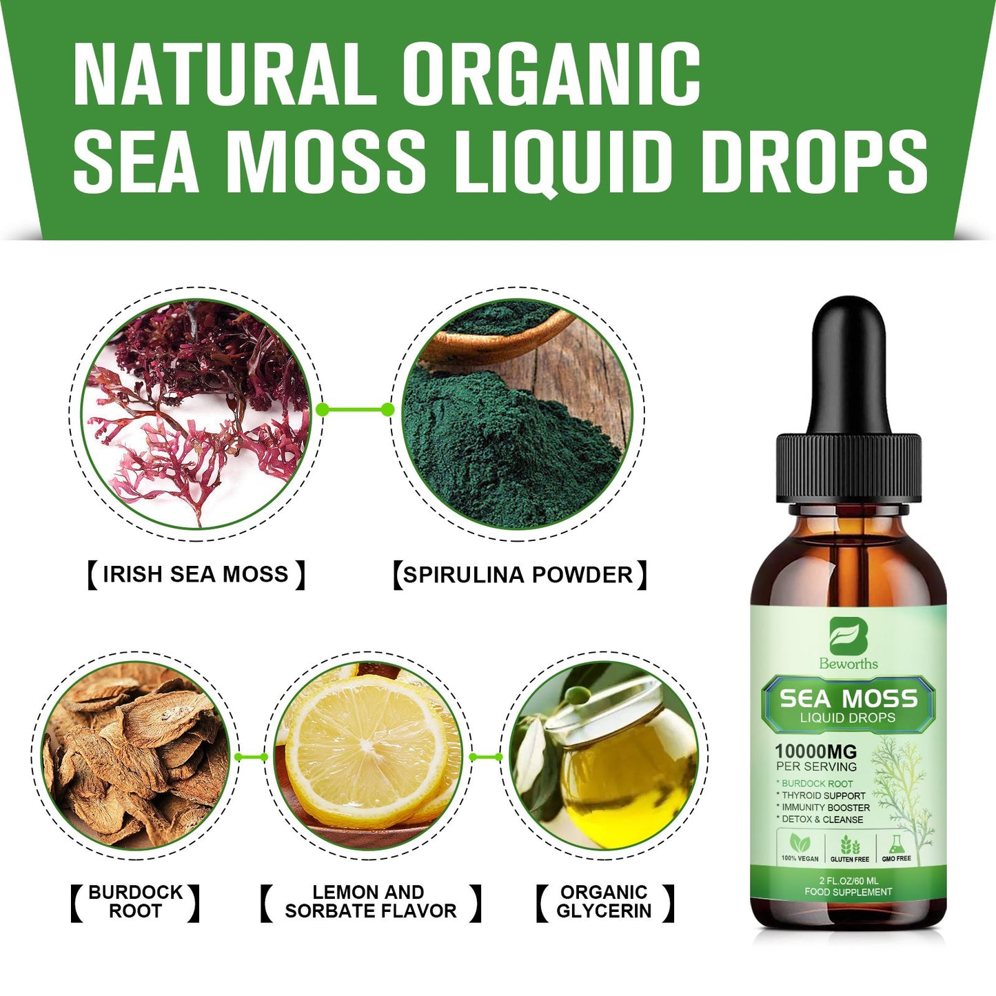 BEWORTHS Organic Irish Sea Moss Liquid Drops