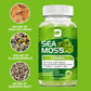 Sea Moss Gummies