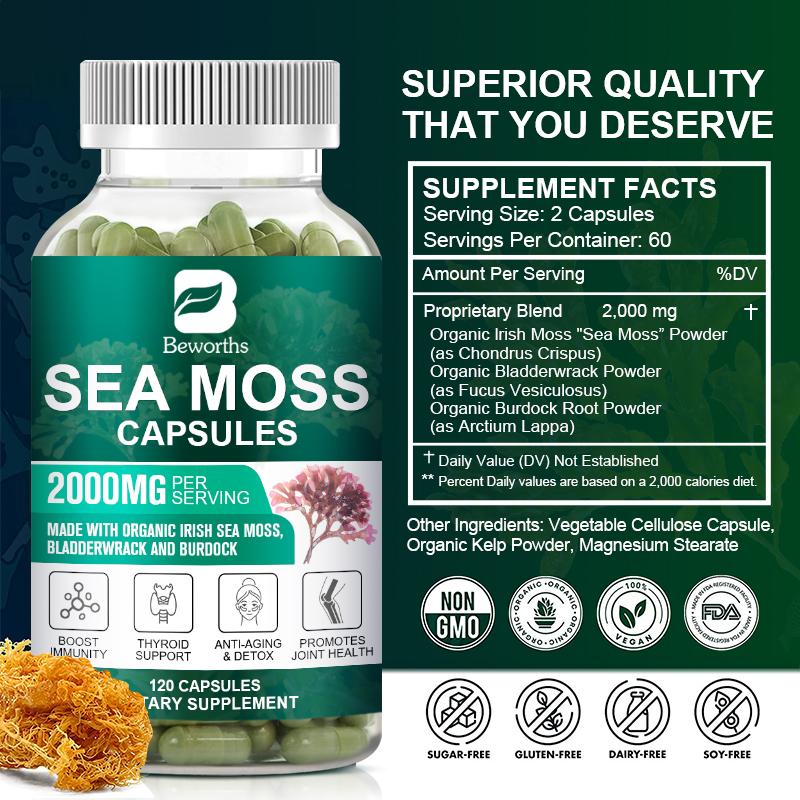 Sea Moss Capsules with Burdock Root, Irish Moss and Bladderwrack