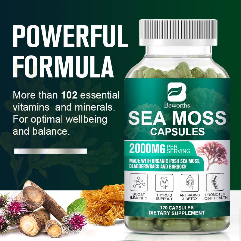 Sea Moss Capsules with Burdock Root, Irish Moss and Bladderwrack