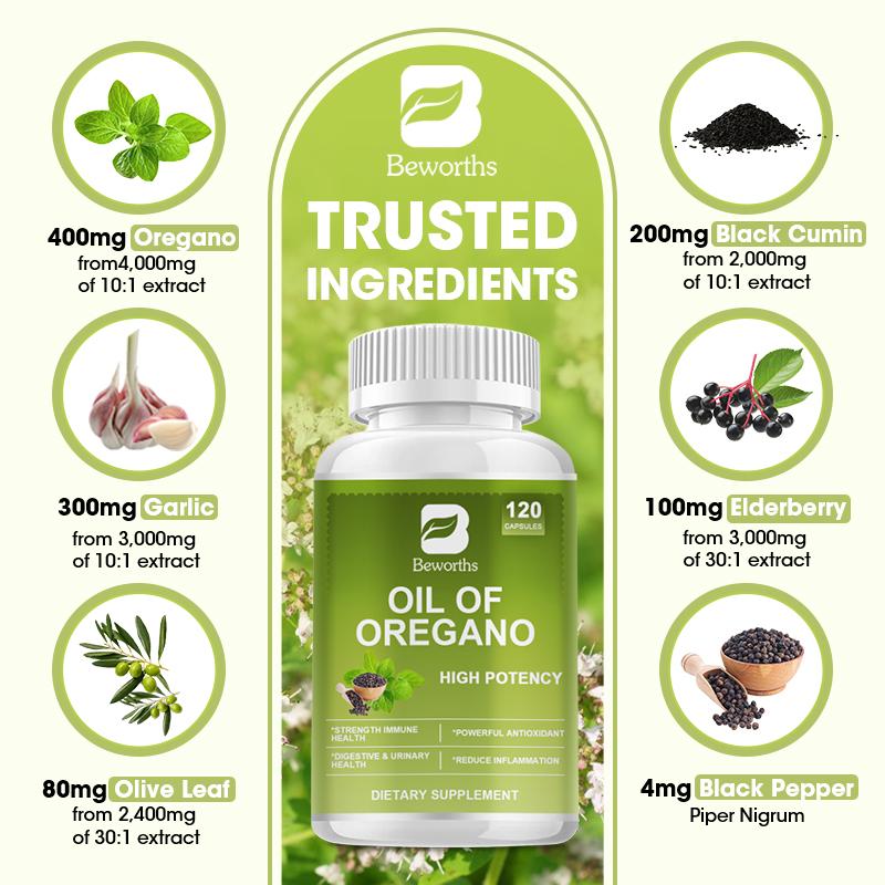 Kapsul Minyak Oregano
